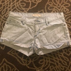 Bullhead Shorts